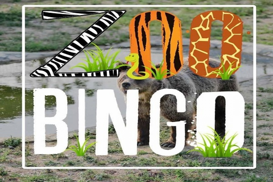 ZOO Bingo
