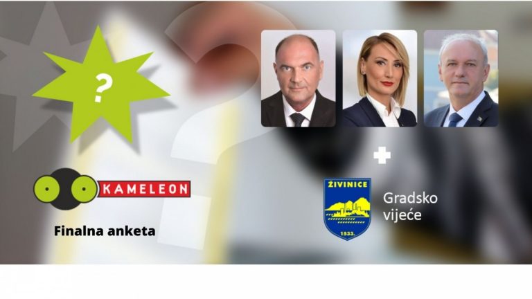 vijeće
