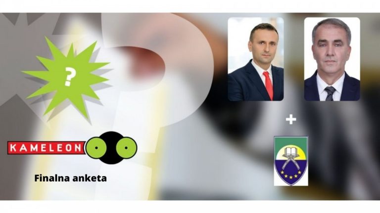 vijeće