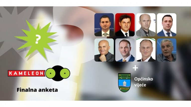 vijeće
