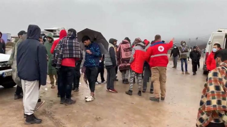 migranti