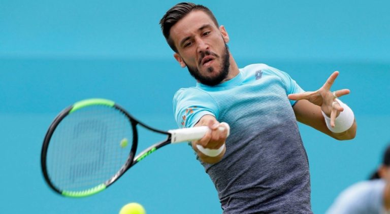 damir džumhur