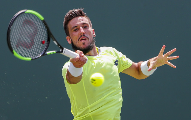damir džumhur