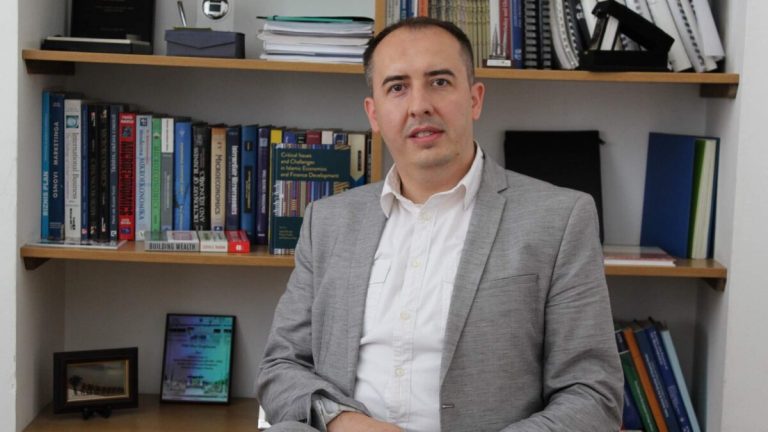 velid efendić
