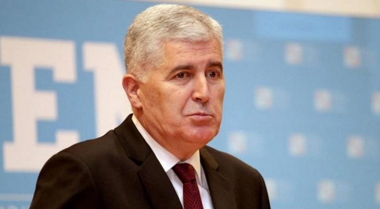 dragan čović