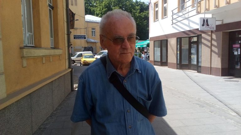 mevludin ekmečić