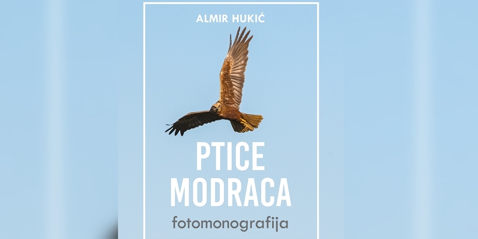 modrac