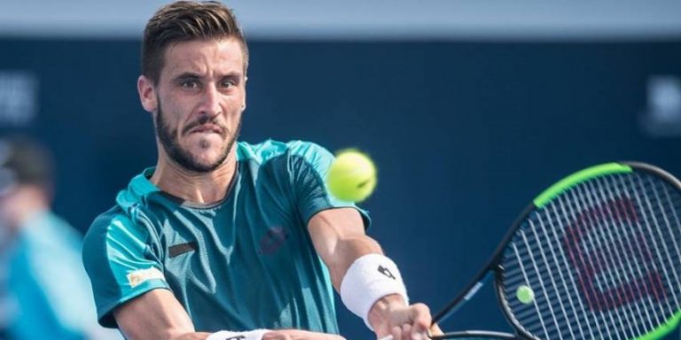 damir džumhur