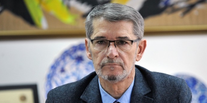 jasmin imamović