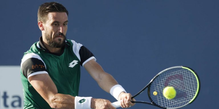 damir džumhur