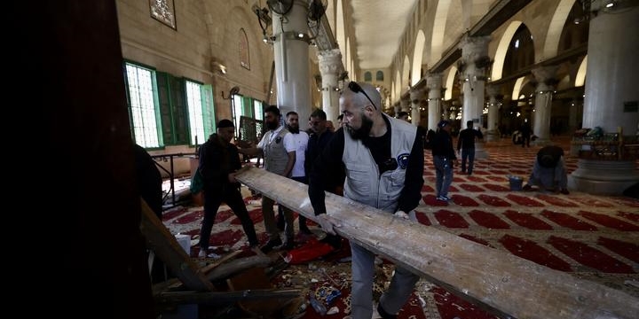 palestinaca