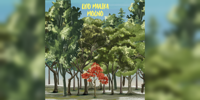 edo maajka