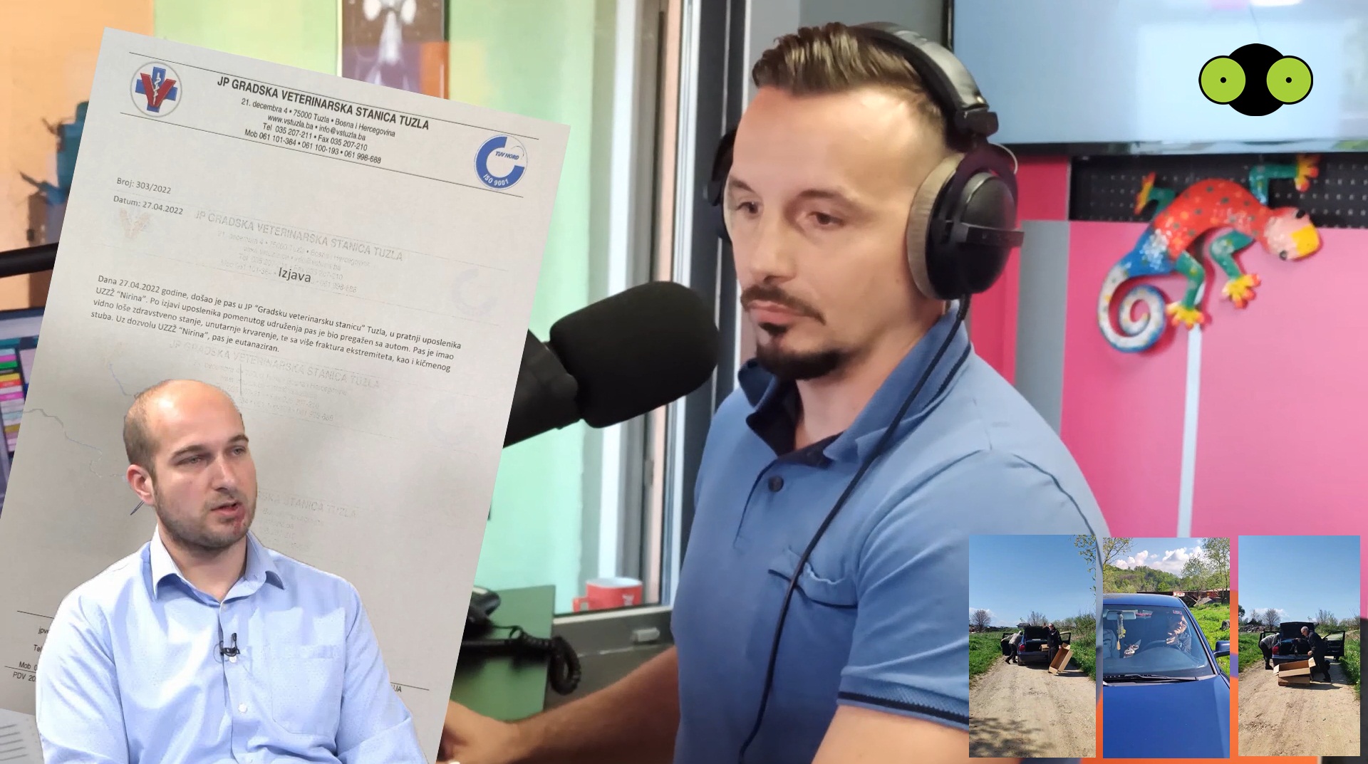 autom zgazio štene