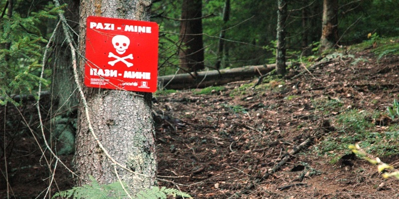 tijela
