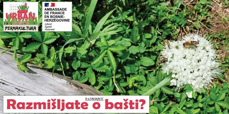 bašte