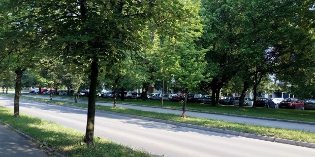 tuzla