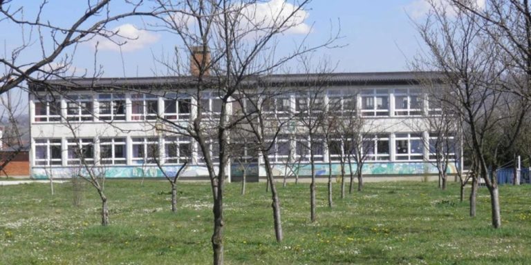 škola