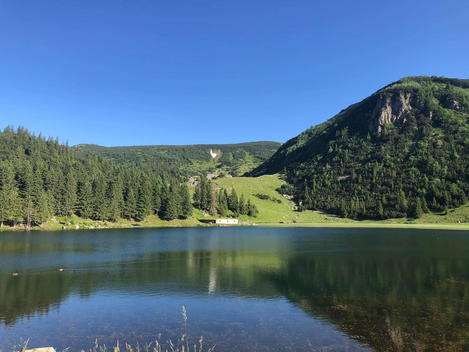 Foto: Alen Husarkić