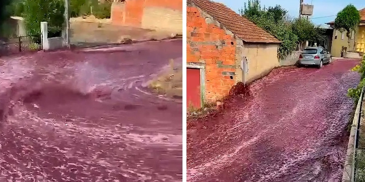 portugalu