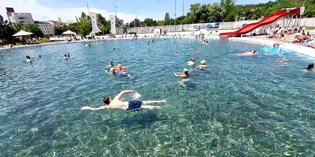 pannonica