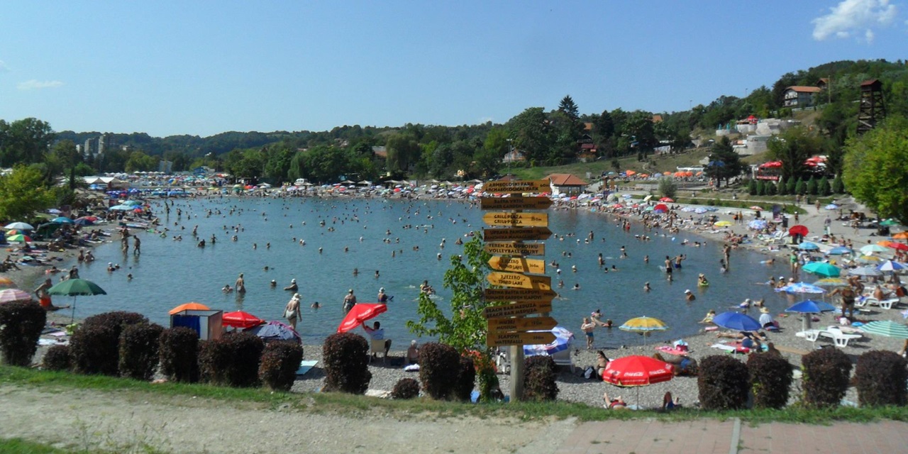 pannonica